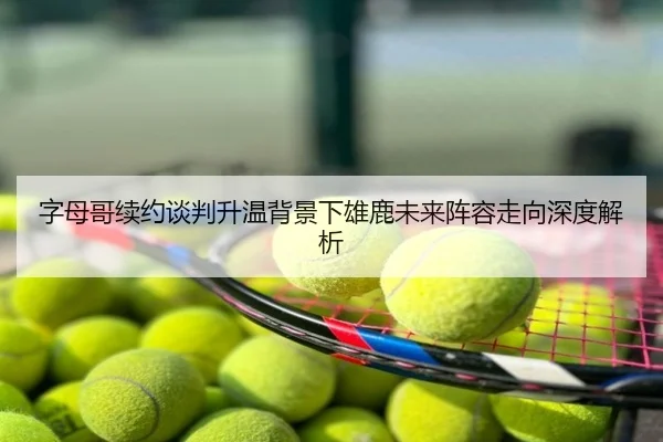 字母哥续约谈判升温背景下雄鹿未来阵容走向深度解析